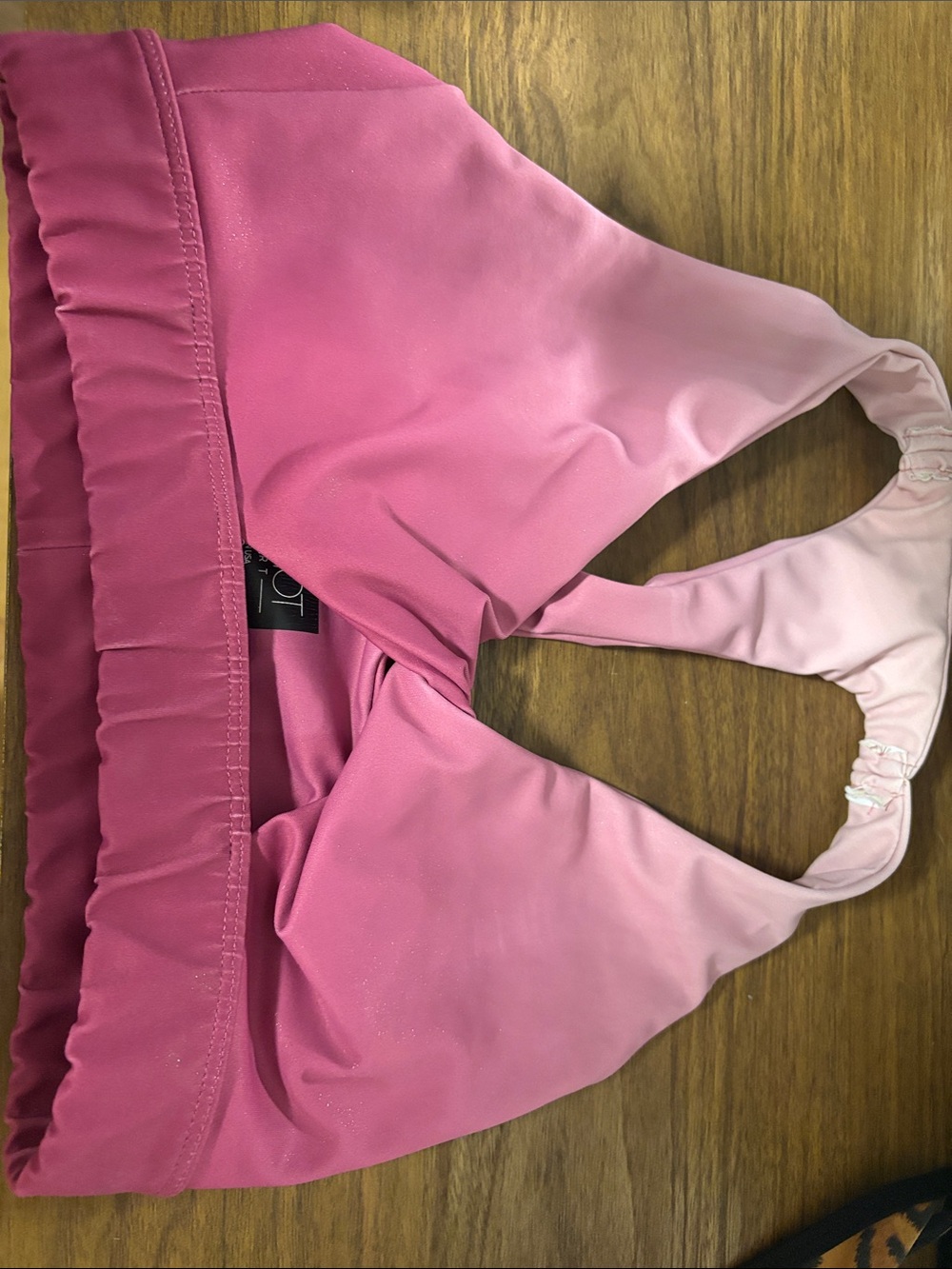 Beach Riot Pink Ombre Sports Bra